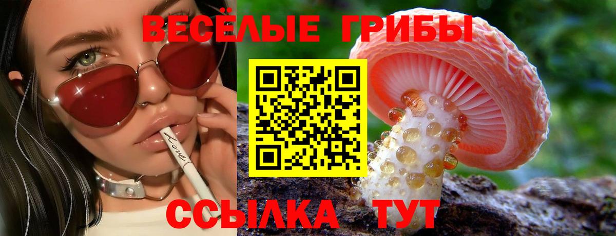 Галлюциногенные грибы прущие грибы  Вход с VPN  Скопин 